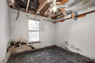 405 Evening Shadows, Holly Lake Ranch, TX 75765 - Photo 29