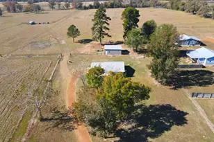 1775 Co Rd 1342, Pittsburg, TX 75686 - Photo 27