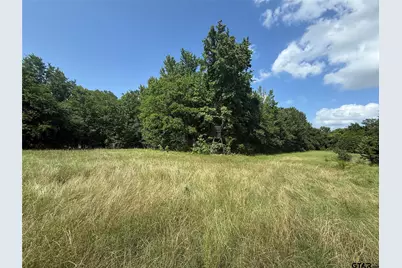 11591-2 S Farm Road 269, Pickton, TX 75471 - Photo 3