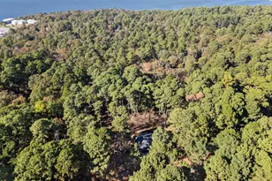 18406 Clear Lake, Flint, TX 75762 - Photo 37