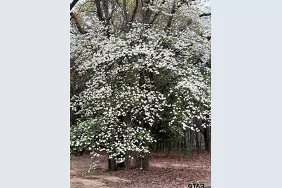 19387 Fm 1804, Lindale, TX 75771 - Photo 39