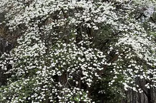 19387 FM1804, Lindale, TX 75771 - Photo 39