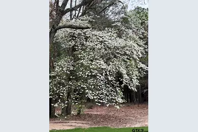 19343 Fm 1804, Lindale, TX 75771 - Photo 33