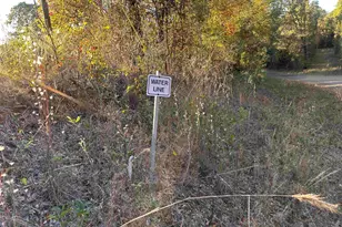 0 Co Rd 2117, Douglassville, TX 75560 - Photo 29