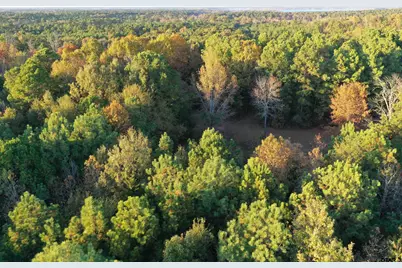 0 Co Rd 2117, Douglassville, TX 75560 - Photo 9