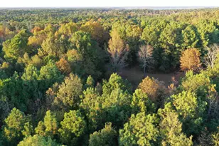 0 Co Rd 2117, Douglassville, TX 75560 - Photo 9