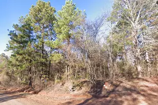 0 Co Rd 2117, Douglassville, TX 75560 - Photo 3