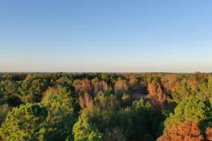 0 Co Rd 2117, Douglassville, TX 75560 - Photo 21