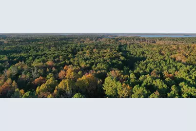 0 Co Rd 2117, Douglassville, TX 75560 - Photo 11