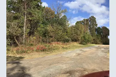 20317 Holly Hills Dr, LaRue, TX 75770 - Photo 15