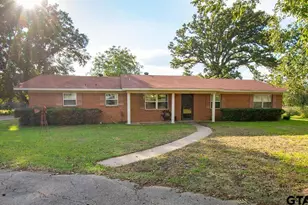 460 Hickory, Van, TX 75790 - Photo 3