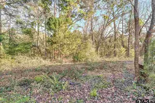 3519 S FM 14, Hawkins, TX 75765 - Photo 27