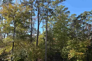 196 Twisted Oaks Dr, Rusk, TX 75785 - Photo 23