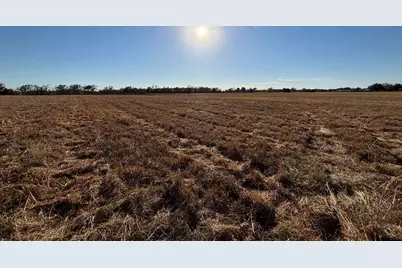 000 Fm 1653, Ben Wheeler, TX 75754 - Photo 11