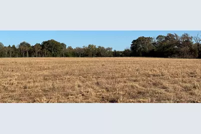 000 Fm 1653, Ben Wheeler, TX 75754 - Photo 13