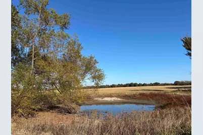 000 Fm 1653, Ben Wheeler, TX 75754 - Photo 1