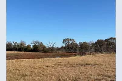 000 Fm 1653, Ben Wheeler, TX 75754 - Photo 5