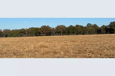 000 Fm 1653, Ben Wheeler, TX 75754 - Photo 3