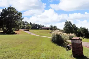 307 Roesch Rd, Hallsville, TX 75650 - Photo 39