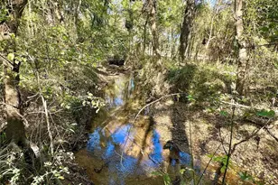 2105 Co Rd 2322, Sulphur Springs, TX 75482 - Photo 33