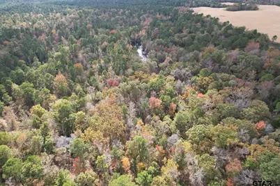 Tbd Stag Rd, Gilmer, TX 75644 - Photo 17