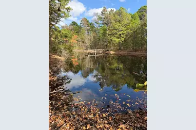 Tbd Stag Rd, Gilmer, TX 75644 - Photo 27