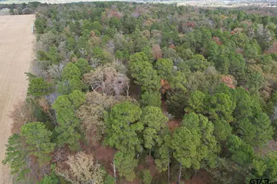Tbd Stag Rd, Gilmer, TX 75644 - Photo 19