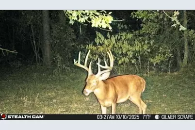 Tbd Stag Rd, Gilmer, TX 75644 - Photo 3