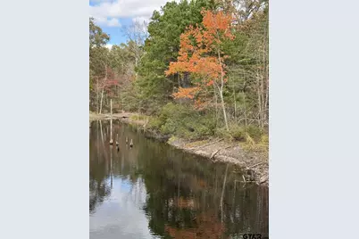 Tbd Stag Rd, Gilmer, TX 75644 - Photo 11