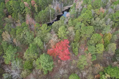 Tbd Stag Rd, Gilmer, TX 75644 - Photo 23