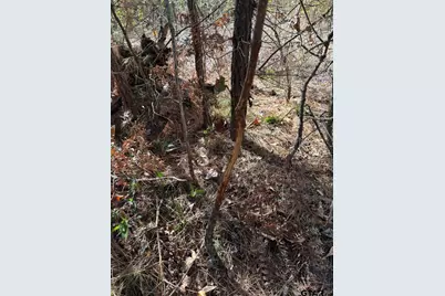 Tbd Stag Rd, Gilmer, TX 75644 - Photo 29