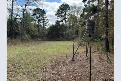 Tbd Stag Rd, Gilmer, TX 75644 - Photo 13