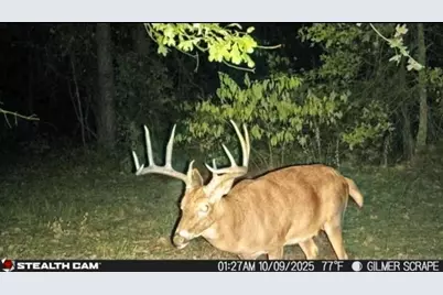 Tbd Stag Rd, Gilmer, TX 75644 - Photo 7