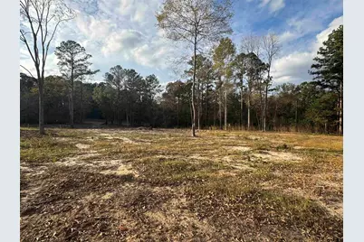 17365 Fm 2089, Overton, TX 75684 - Photo 1