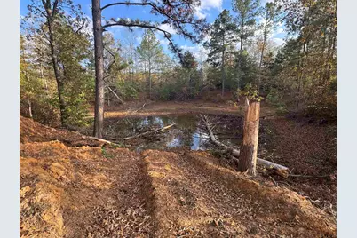 17365 Fm 2089, Overton, TX 75684 - Photo 7