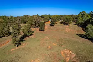 15198 E Fm 16, Winona, TX 75792 - Photo 39