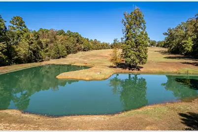 15198 E Fm 16, Winona, TX 75792 - Photo 37