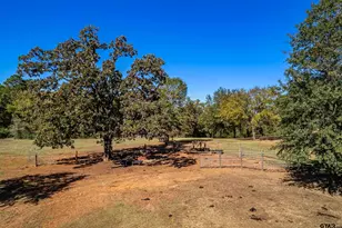 15198 E Fm 16, Winona, TX 75792 - Photo 37