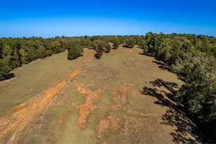 15198 E Fm 16, Winona, TX 75792 - Photo 41