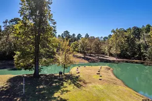 15198 E Fm 16, Winona, TX 75792 - Photo 33