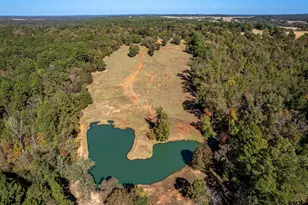 15198 E Fm 16, Winona, TX 75792 - Photo 31