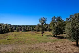 15198 E Fm 16, Winona, TX 75792 - Photo 43