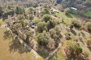 944 Co Rd 1240, Pittsburg, TX 75686 - Photo 29