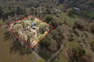 944 Co Rd 1240, Pittsburg, TX 75686 - Photo 31