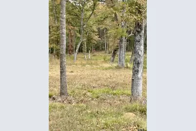 15308 W Fm 321, Tennessee Colony, TX 75861 - Photo 11