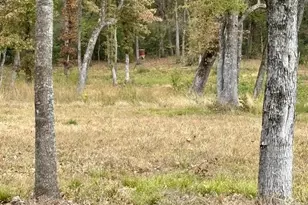 15308 W Fm 321, Tennessee Colony, TX 75861 - Photo 11