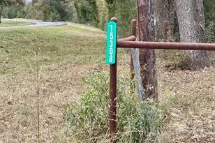 15308 W Fm 321, Tennessee Colony, TX 75861 - Photo 9