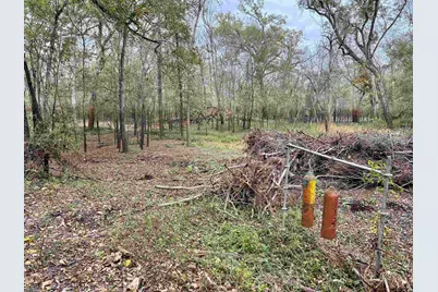 15308 W Fm 321, Tennessee Colony, TX 75861 - Photo 17