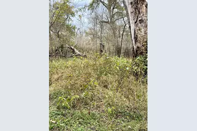 15308 W Fm 321, Tennessee Colony, TX 75861 - Photo 19