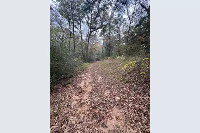 15308 W Fm 321, Tennessee Colony, TX 75861 - Photo 15